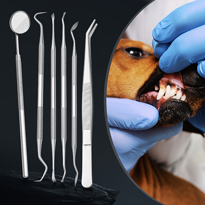 犬と猫用のサウンドウェーブ歯垢除去器6個入り |   歯のク - Teeth Whitening Mouthwash のレビューと価格