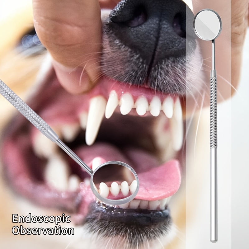 犬と猫用のサウンドウェーブ歯垢除去器6個入り |   歯のク - Teeth Whitening Mouthwash のレビューと価格